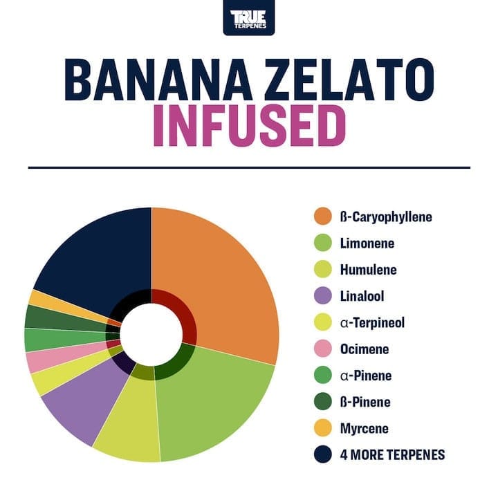 Banana Runtz Zelato strain profile True Terpenes Canada