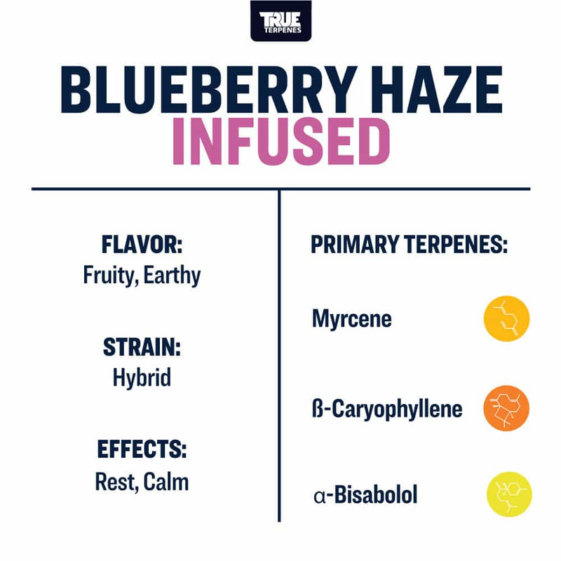 Blueberry Haze True Terpenes Canada