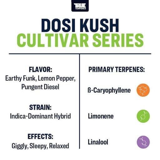 Dosi Kush Cultivar Series True Terpene Strains Canada