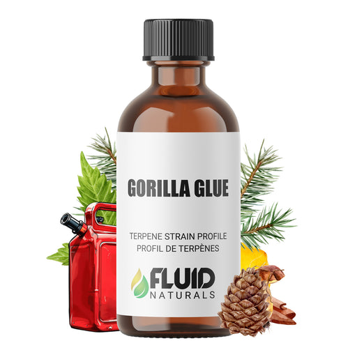 Fluid Naturals Gorilla Glue Terpene Strain Profile Canada