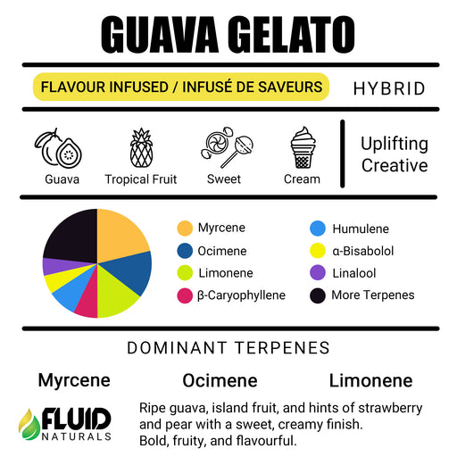 Guava Gelato Fluid Naturals Creamy Tropical Terpenes Canada