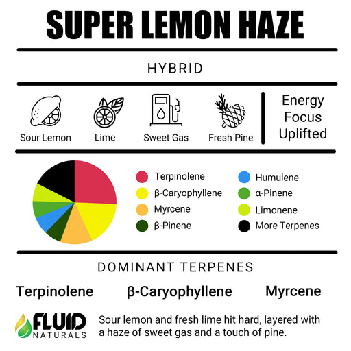 Super Lemon Haze Terpenes Online Canada