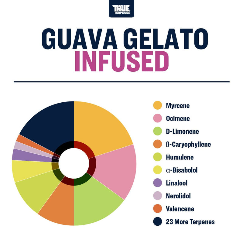 Guava Gelato True Terpenes Canada