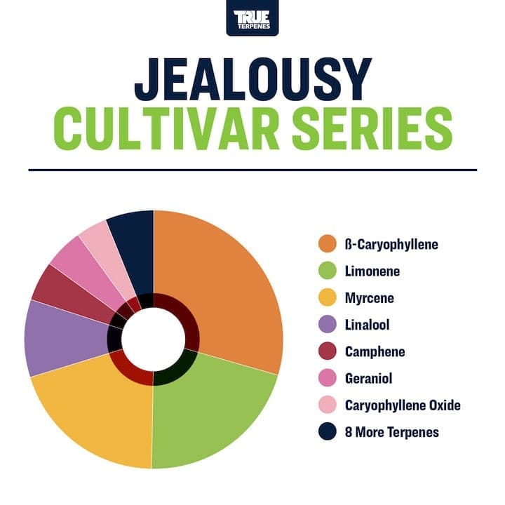 Jealousy True Terpenes Canada
