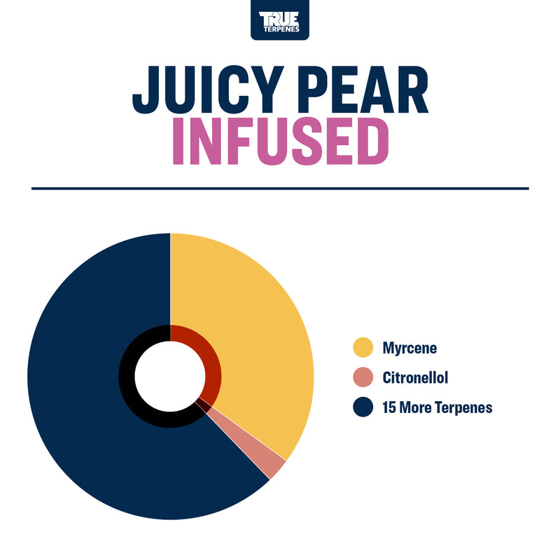 Juicy Pear Flavor Infused Strain Profile True Terpenes Canada