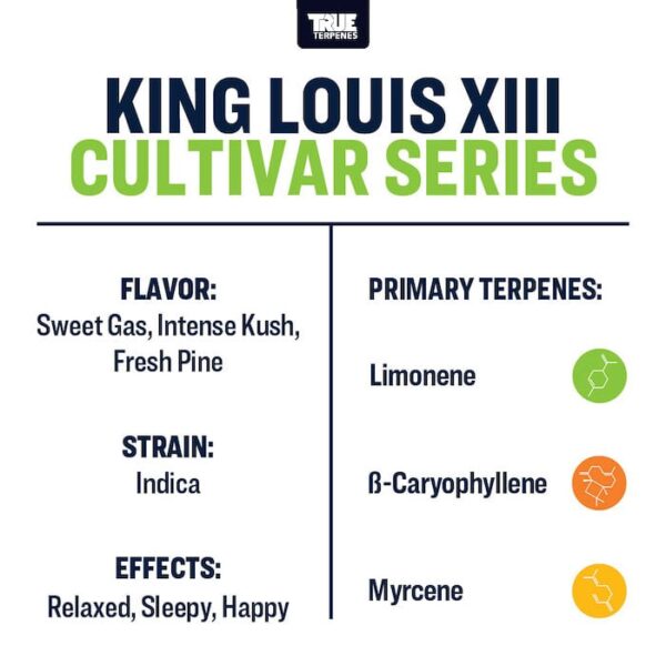 King Louis XIII Buy True Terpenes Online in Canada