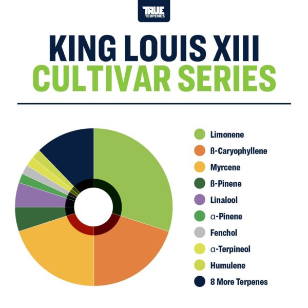 King Louis XIII Buy True Terpenes Online in Canada