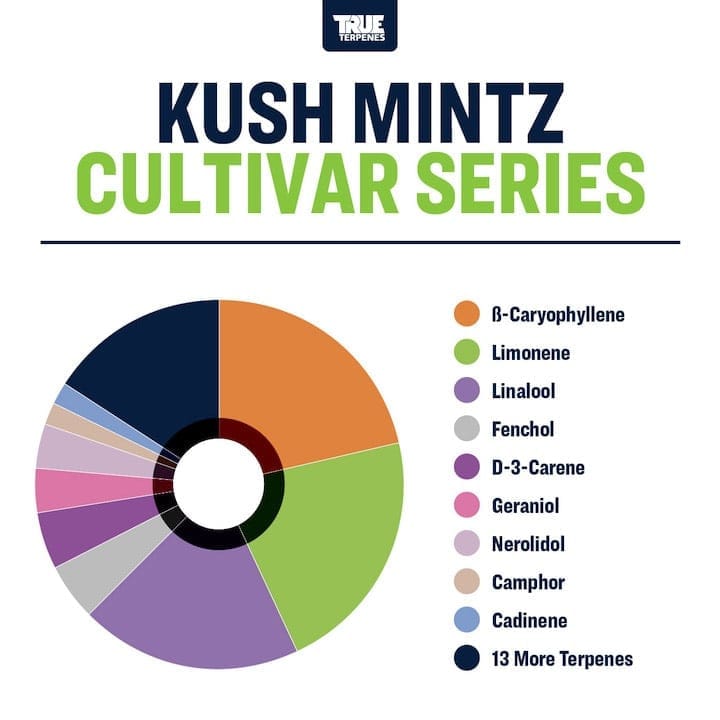 Kush Mintz Gasy True Terpenes Canada