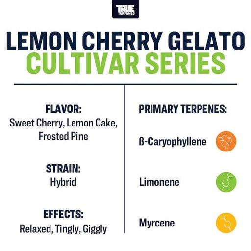 Lemon Cherry Gelato True Terpenes Canada
