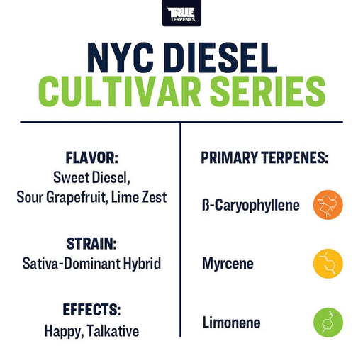 NYC Diesel True Terpenes Canada