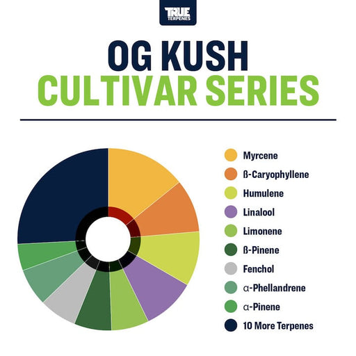 OG Kush Cultivar Series True Terpenes Canada
