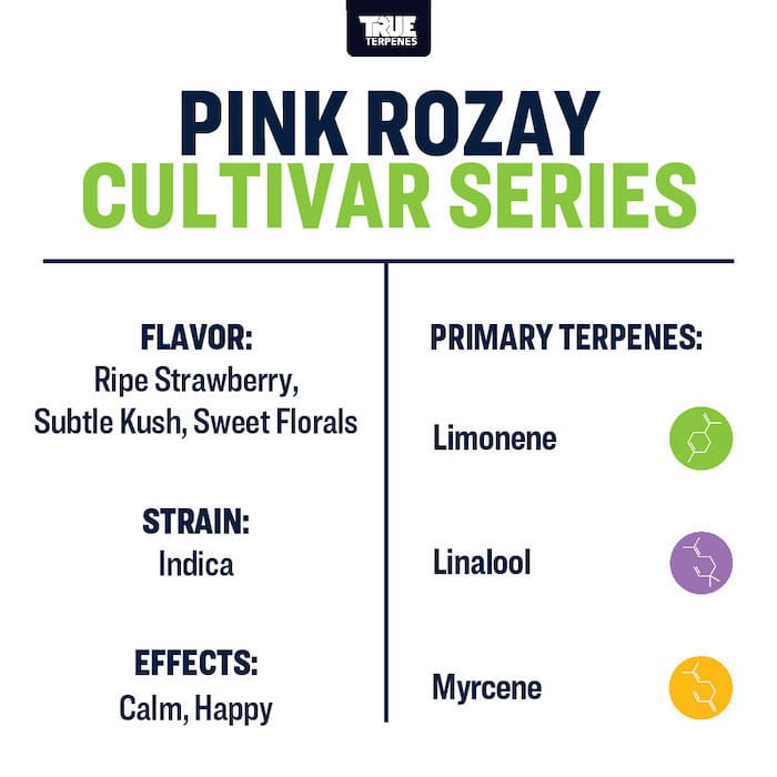 Pink Rozay True Terpenes Buy Online in Canada