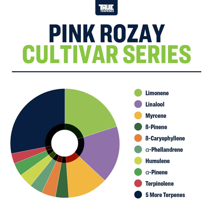 Pink Rozay True Terpenes Buy Online in Canada