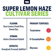 Super Lemon Haze True Terpenes Canada