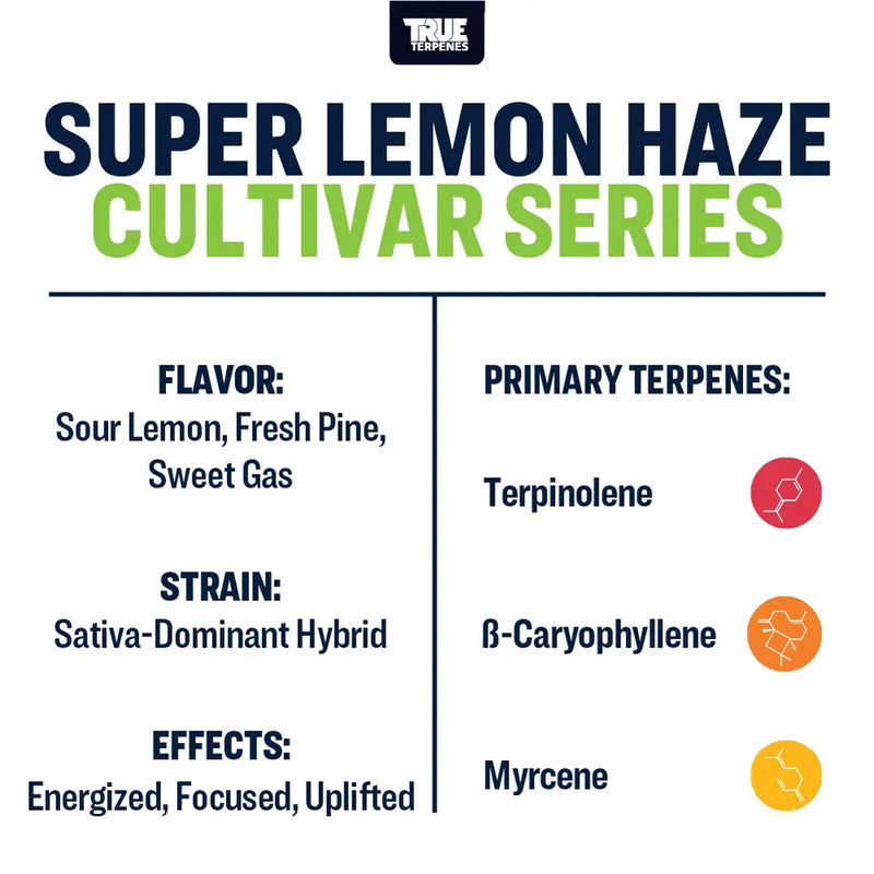 Super Lemon Haze True Terpenes Canada