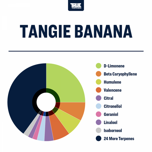 Tangie Banana True Terpenes Canada