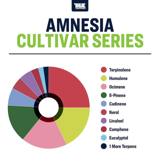 True Terpenes Cultivar Series Head Candy Smoke Shop true-terpenes-cultivar-series-head-candy-smoke-shop