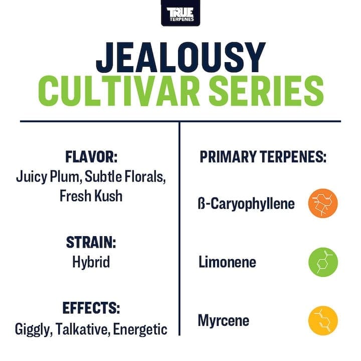 Jealousy True Terpenes Canada