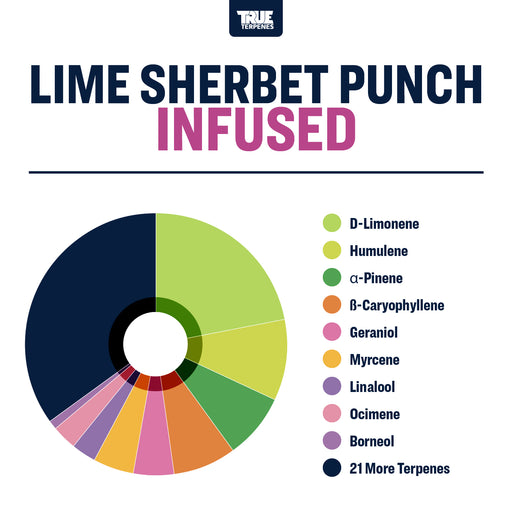 Lime Sherbet Punch True Terpenes Canada