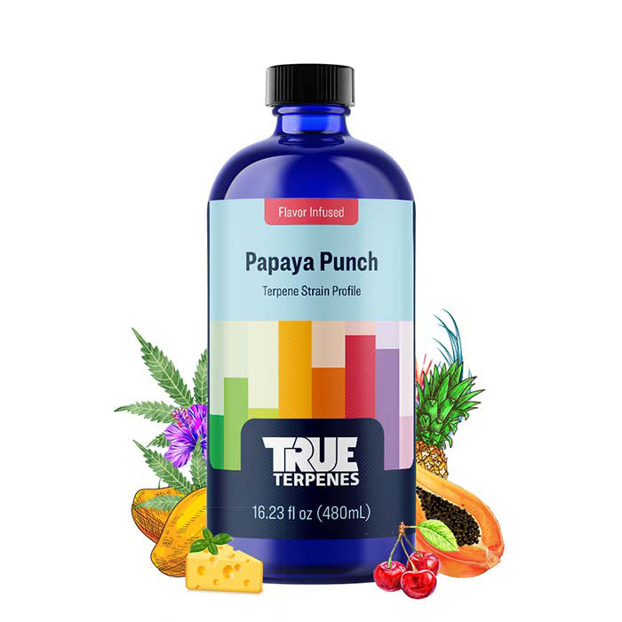 【大容量】TRUE TERPENES Purple Punch 30mL 大容量】TRUE TERPENES Purple Punch 30mL 30mL_PurplePunch_BOOSTED_1200x