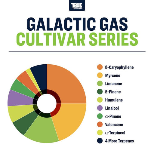Galactic Gas Cultivar Series True Terpenes Canada