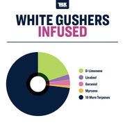 White Gushers True Terpenes Canada