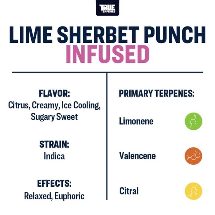 Lime Sherbet Punch True Terpenes Canada