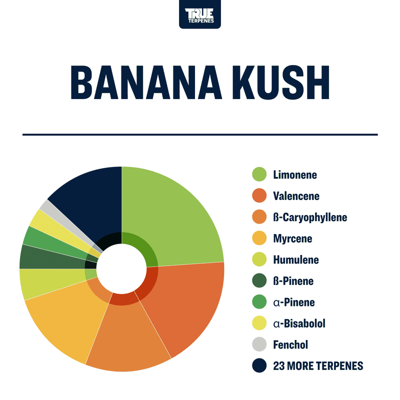 Banana Kush True Terpenes Profile Canada