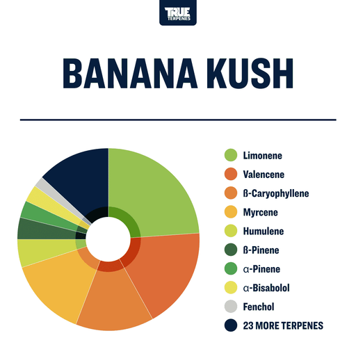 Banana Kush True Terpenes Profile Canada