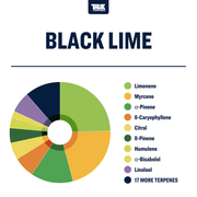 Black Lime Strain True Terpenes Canada