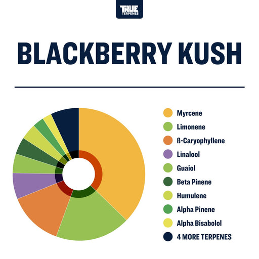 Blackberry Kush True Terpenes Canada