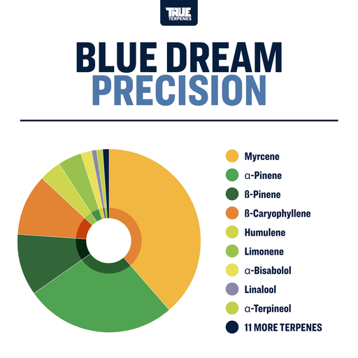 Blue Dream Strain Terpene Profiles Canada