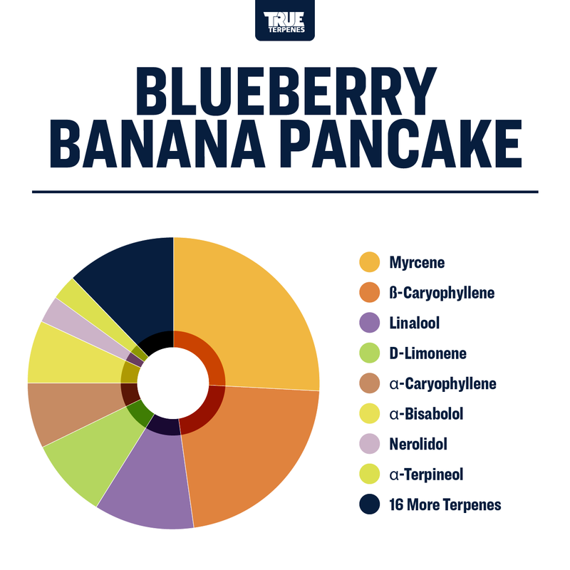 Blueberry Banana Pancake True Terpenes Canada