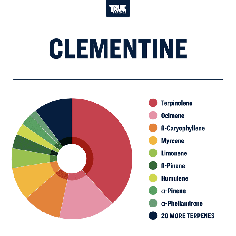 True Terpenes Clementine Strain Profile Canada