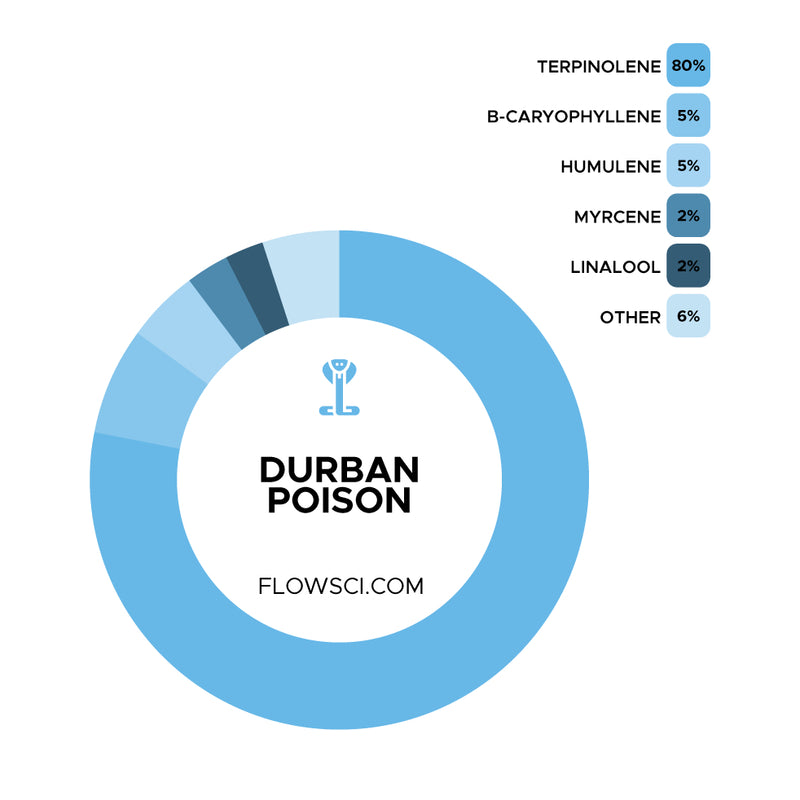 Durban Poison Terpene Strain Profiles Flow Sci