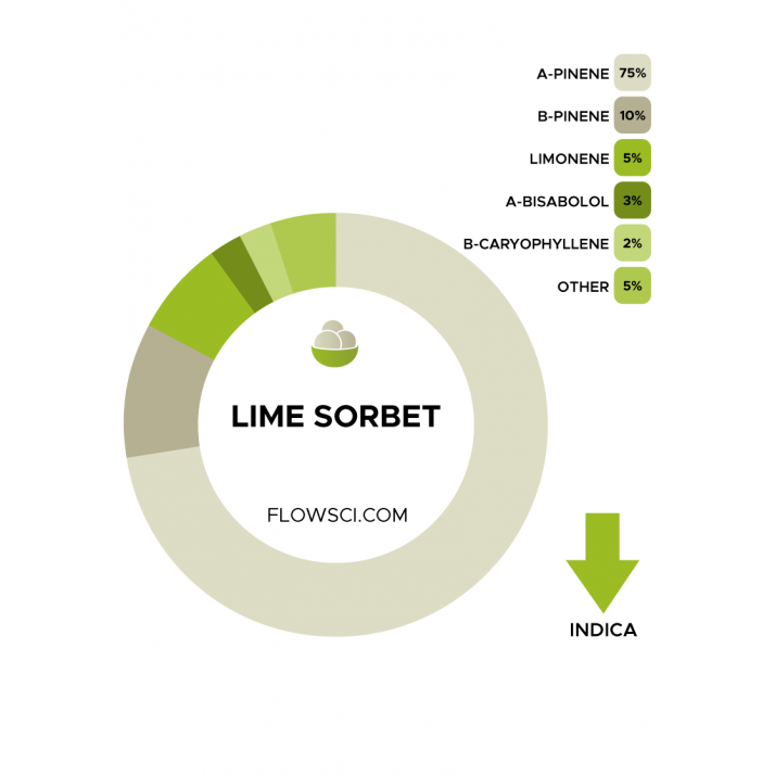Flow Scientific Lime Sorbet Terpene Blend