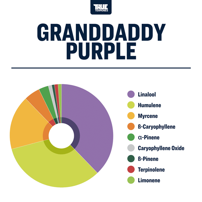 Granddaddy Purple Strain Terpene Profile True Terpenes