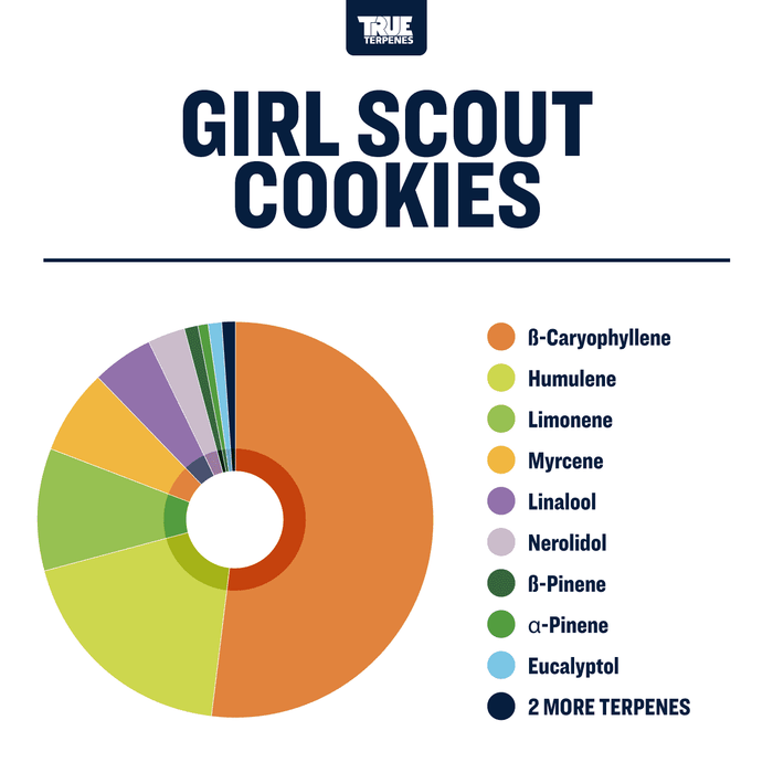 Girl Scout Cookies True Terpenes Canada
