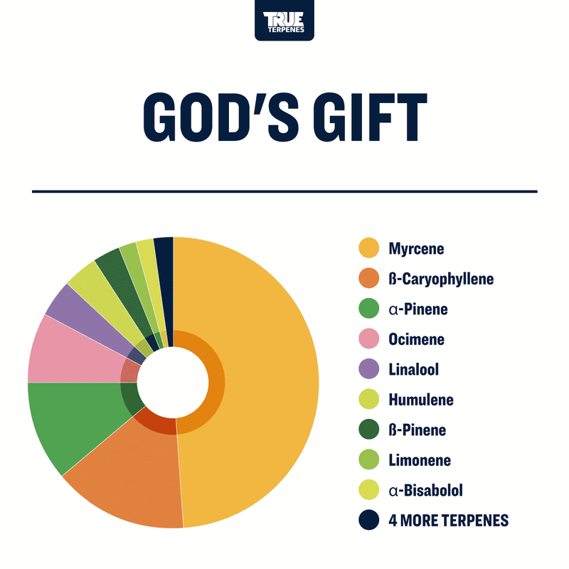 Gods Gift Terpenes Strain Profile Canada