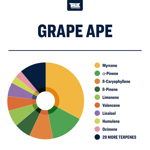 True Terpenes Grape Ape Canada