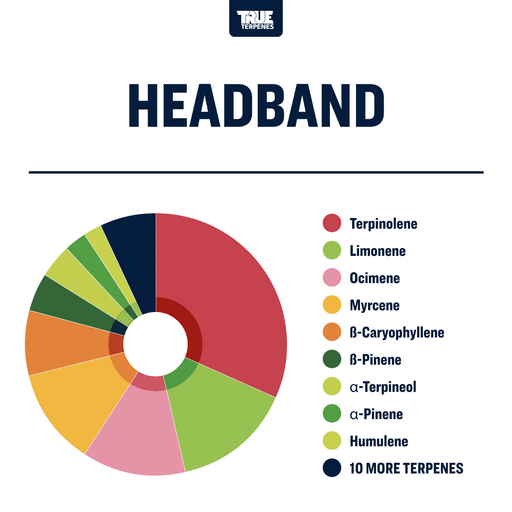 Headband Strain Profile True Terpenes Canada