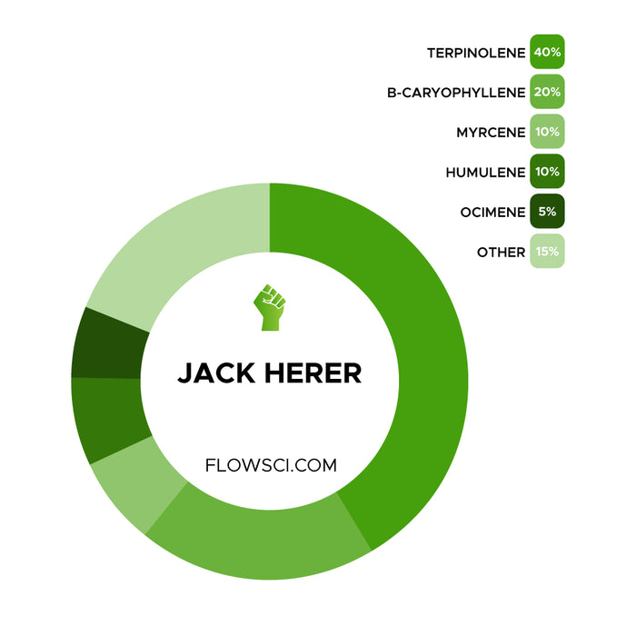 Jack Herer Terpene Strain Profile