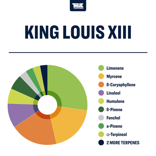 King Louis XIII Strain Profile True Terpenes Canada