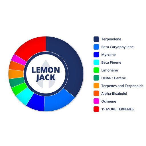 Lemon Jack Terpenes Strain Profiles