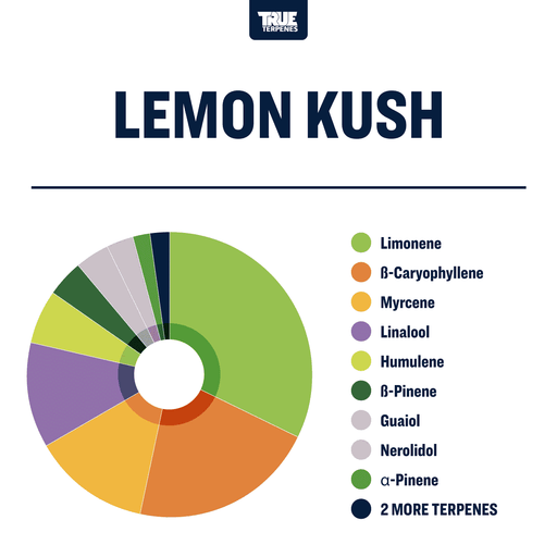 Lemon Kush Strain Profile True Terpenes Canada