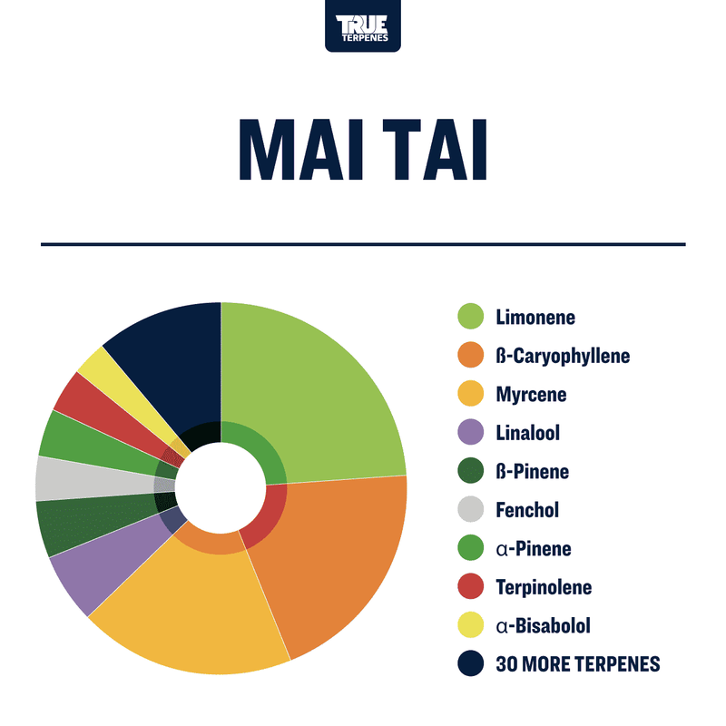 Mai Tai Strain Profile True Terpenes Canada