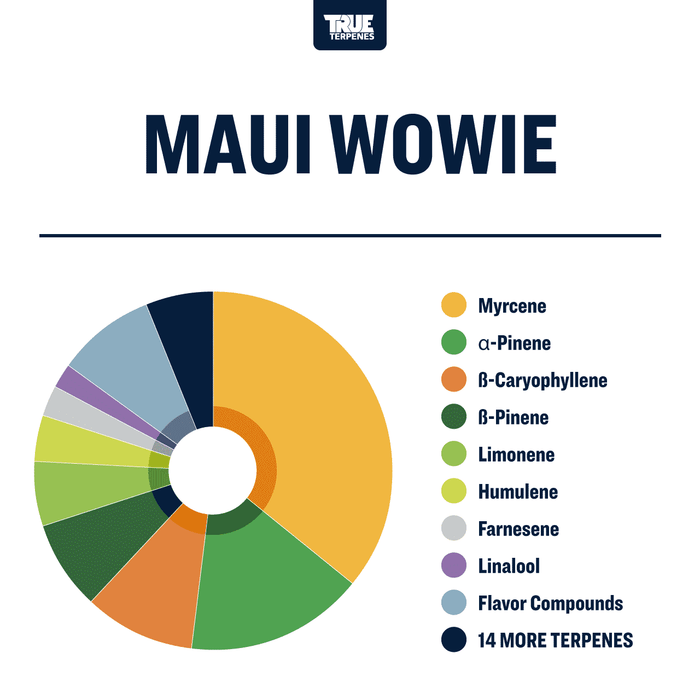 Maui Wowie Strain Profile True Terpenes Canada
