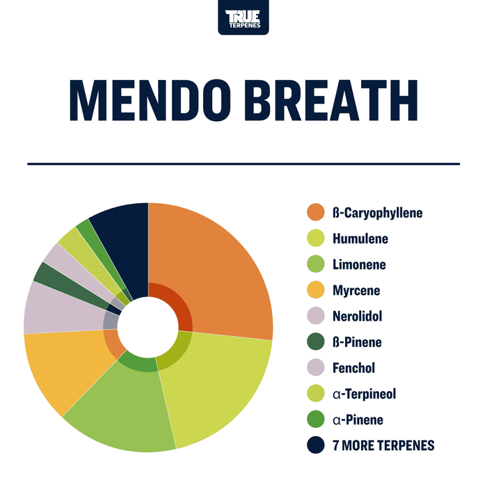 Mendo Breath Terpenes Cannabis Strain Profiles True Terpenes