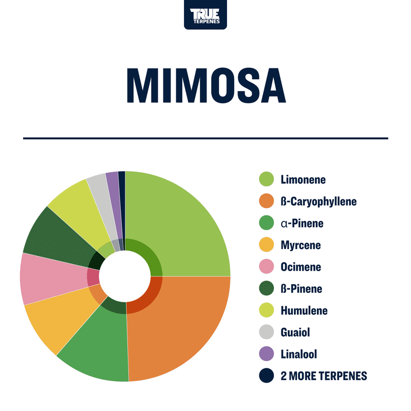 Mimosa Strain Profile True Terpenes Canada