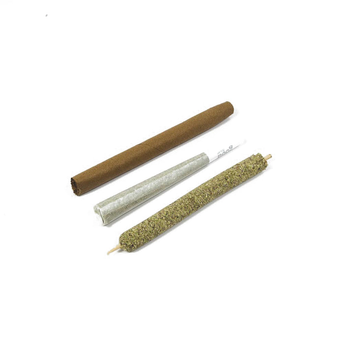 Personal Size Cannagar for Blunt Wraps